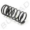 BUGIAD BSP21797 Coil Spring